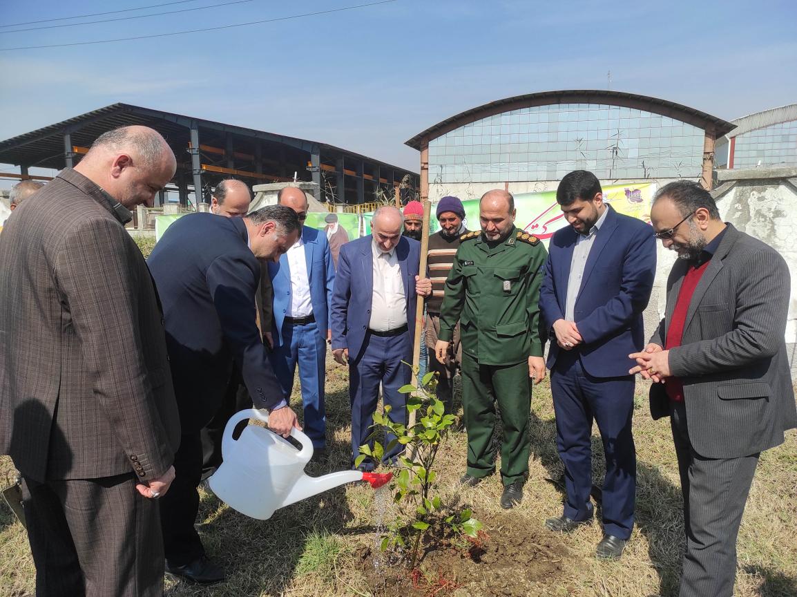 مراسم درختکاری جامعه صنعت گیلان